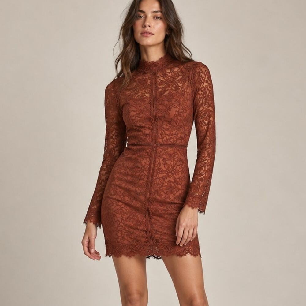 NWT Aritzia Wilfred Janvry Dress - Lace - Bodycon - Brown/Rust - Size 2
